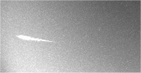 Bolide 2010_02_14_0522 UT  E.Stomeo (VE)